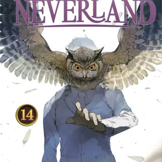 Gufo con ali spalancate, personaggio con volto di un adolescente, copertina manga.