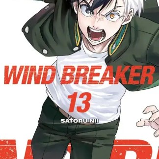 Manga d'azione, sport e avventura; protagonista energico e determinato.