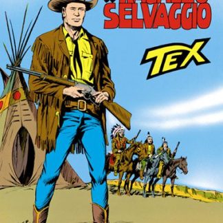 Cattura immagine di Tex, eroe dei fumetti western con cappello e fucile, in paesaggio desertico.