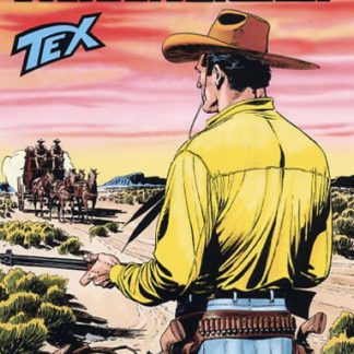 Cowboy con cappello che guida il carro in un paesaggio western.