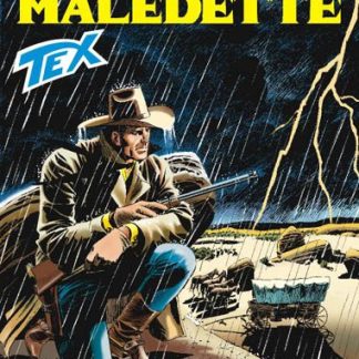 Assassino in paesaggio apocalittico, ambientazione di guerra e natura devastata.