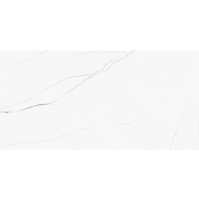 ELEGANCE LIGHT GREY 60×120