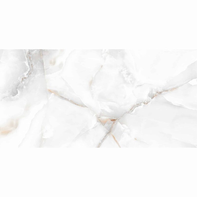 OYSTER (OYESTER) ONYX 60×120