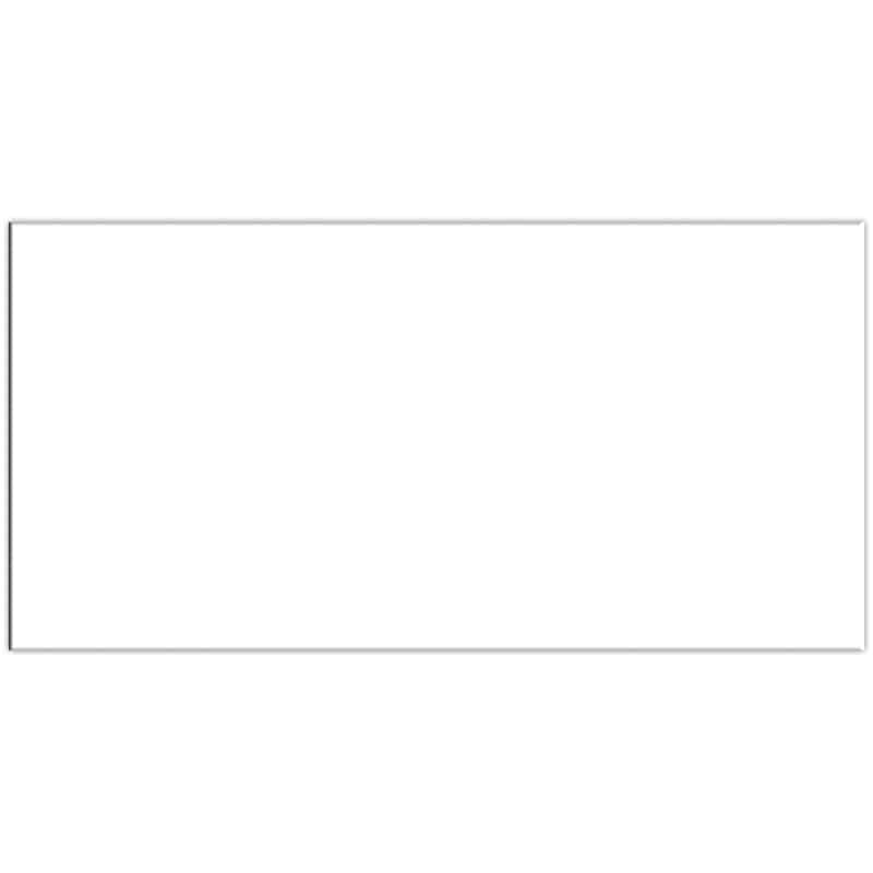 WHITE (BIJELA SJAJNA) 25×50