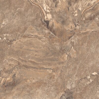 WOLF BROWN SUGAR 60×60