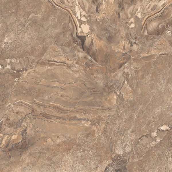 WOLF BROWN SUGAR 60×60