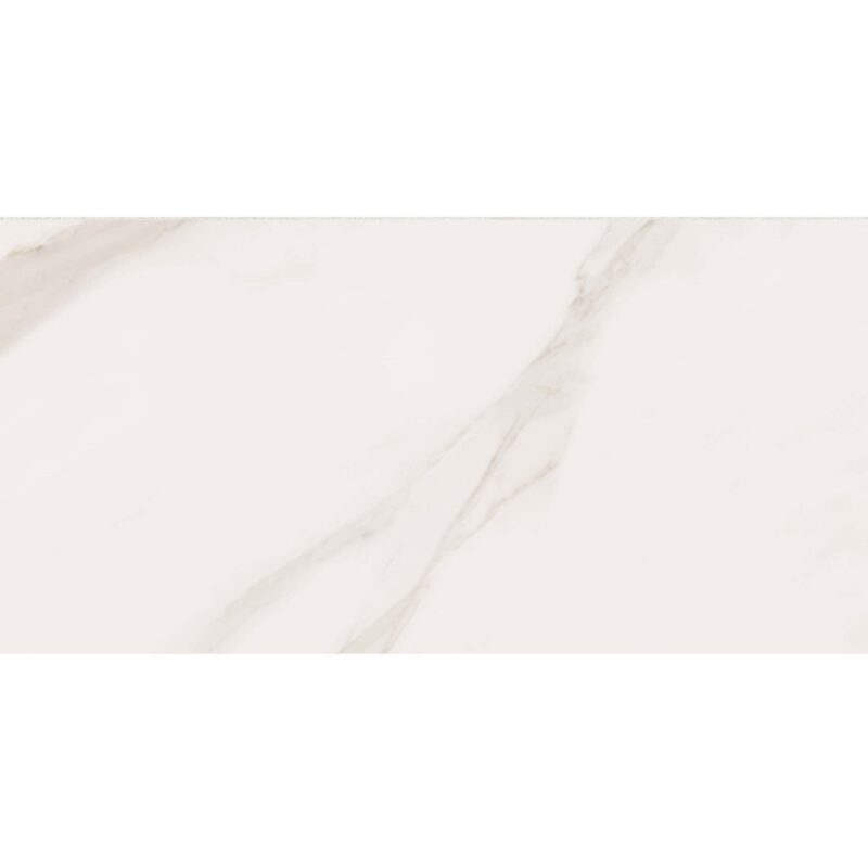 ARA LIGHT BROWN 60×120