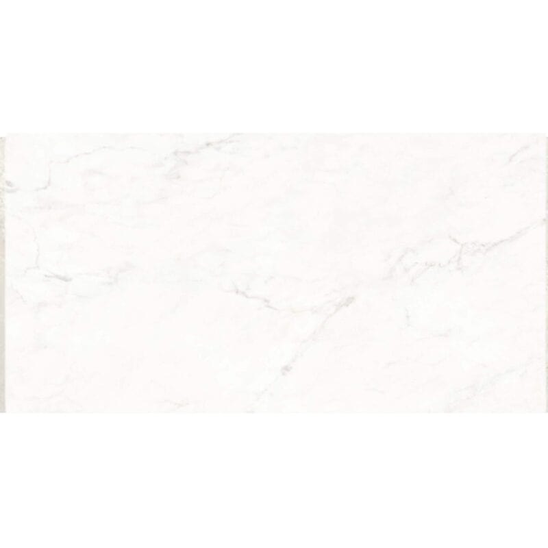 CONCORDE POL 59,8×119,8