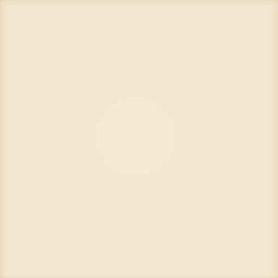 PASTEL KOSC SLONIOWA MAT 20x20