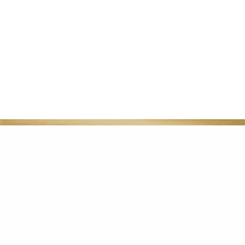 WALL STRIP STEEL BRASS 89,8X2,3