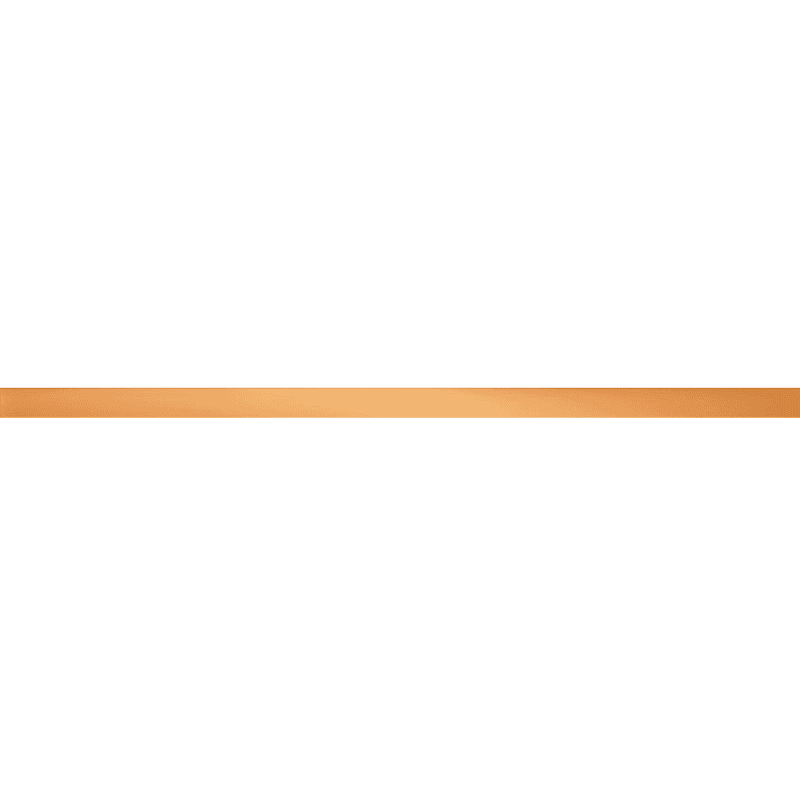 WALL STRIP COOPER GLOSSY 2 59.8X2.3