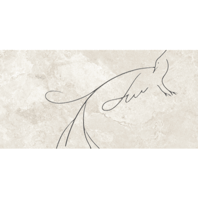 TERI SOFT LINE C 59.8X119.8