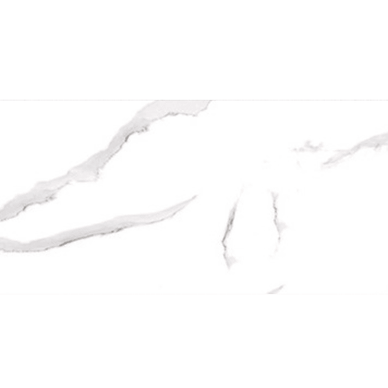 CAMILA GREY 30.5X60.5