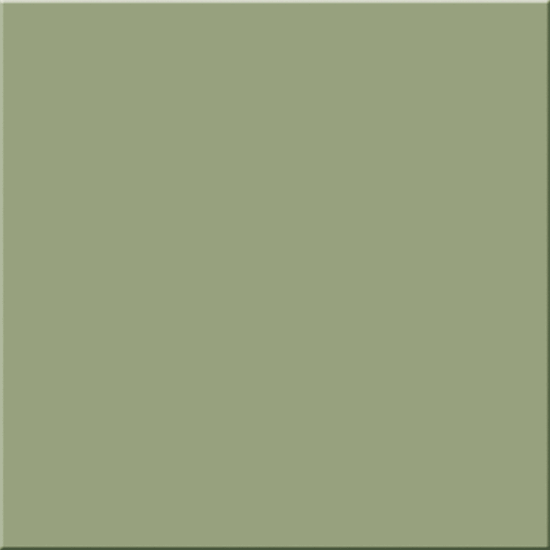 PASTEL OLIWKOWY 20×20