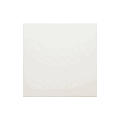 SAN PIETRO VATICAN 20X20