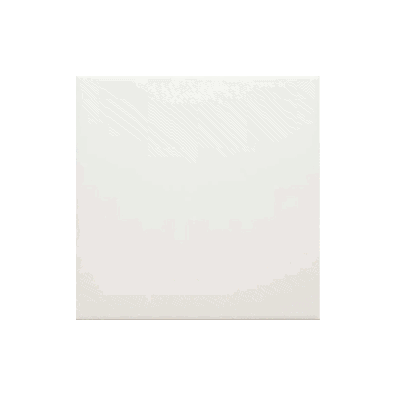 SAN PIETRO VATICAN 20X20