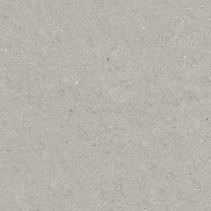 TERRE ANTRACITE 60×60