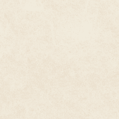 TERRE BEIGE 80.2x80.2
