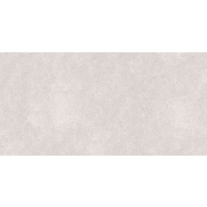 TERRE GRIGIO 60×119.8