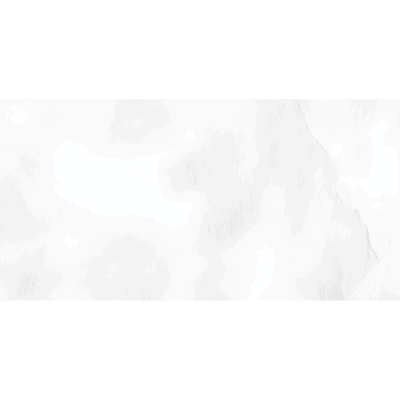 SOUTHRIM WHITE 60X120