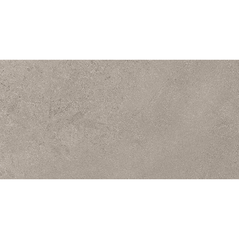 ALL AROUND STONE GREY RECT PRO 60X119.8