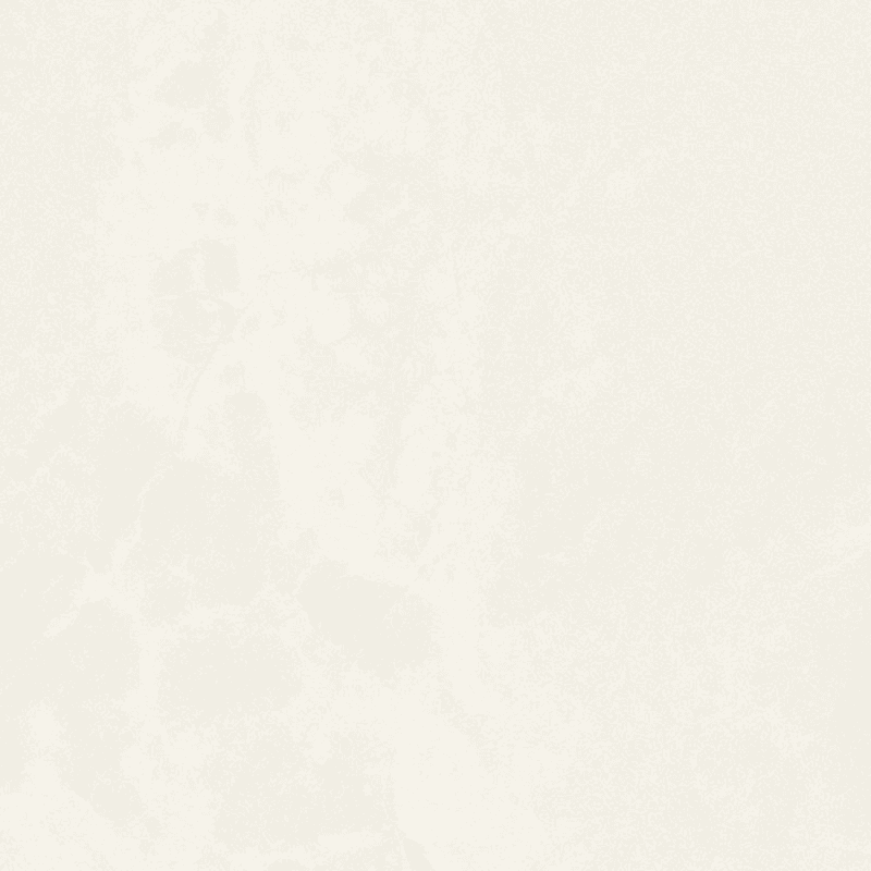BILOBA IVORY 59.8X59.8