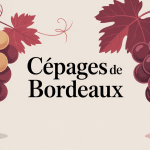 cepage bordeaux grappe stylisee raisins rouges blancs