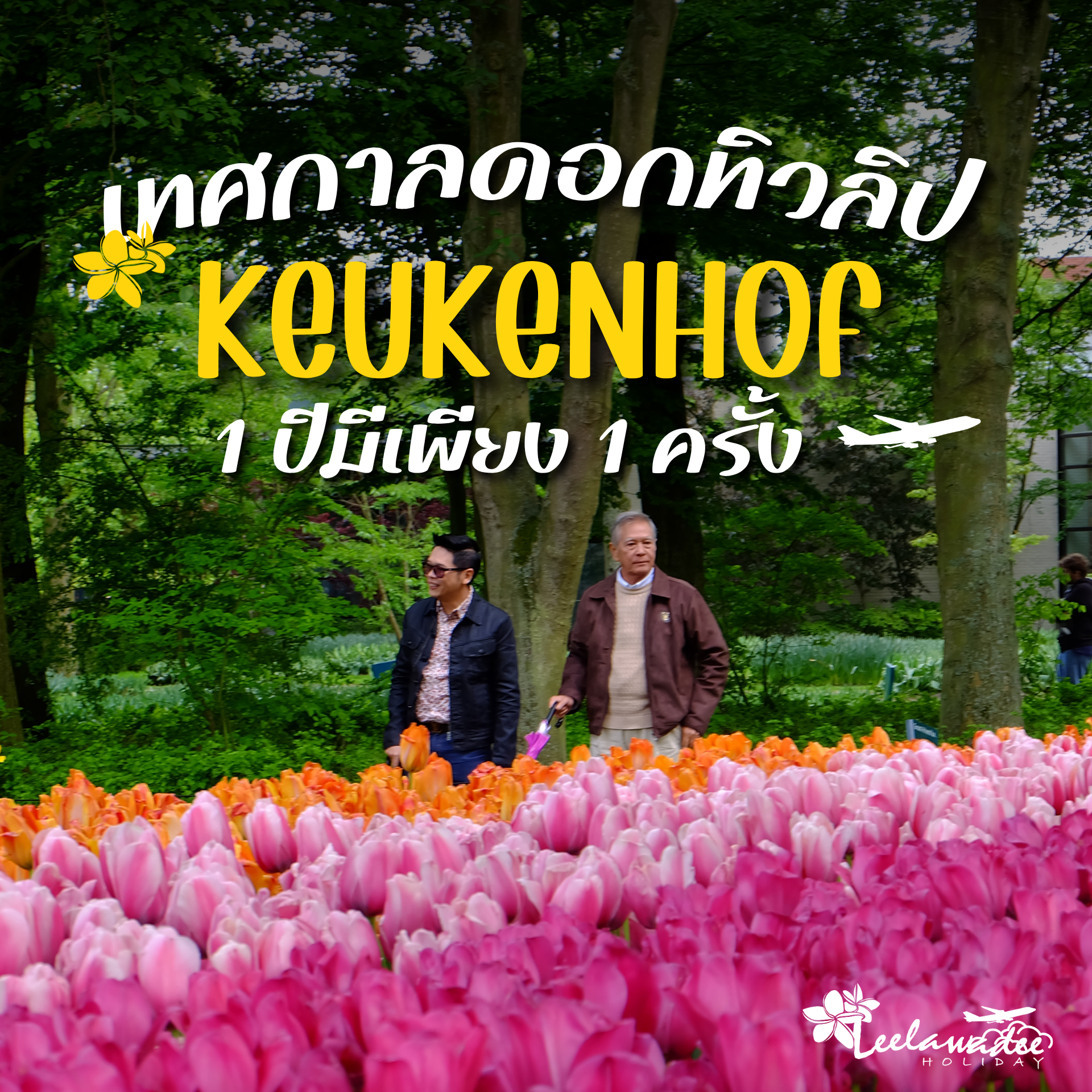 เคอเคนฮอฟ