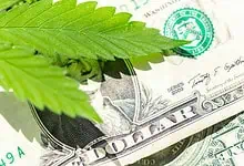 Financial Growth The Power of Cannabis Loans for Entrepreneurs in the Growing Industry