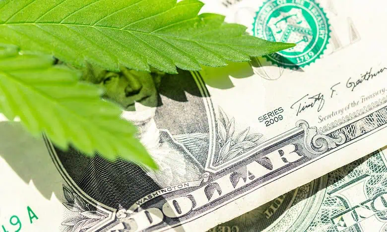 Financial Growth The Power of Cannabis Loans for Entrepreneurs in the Growing Industry