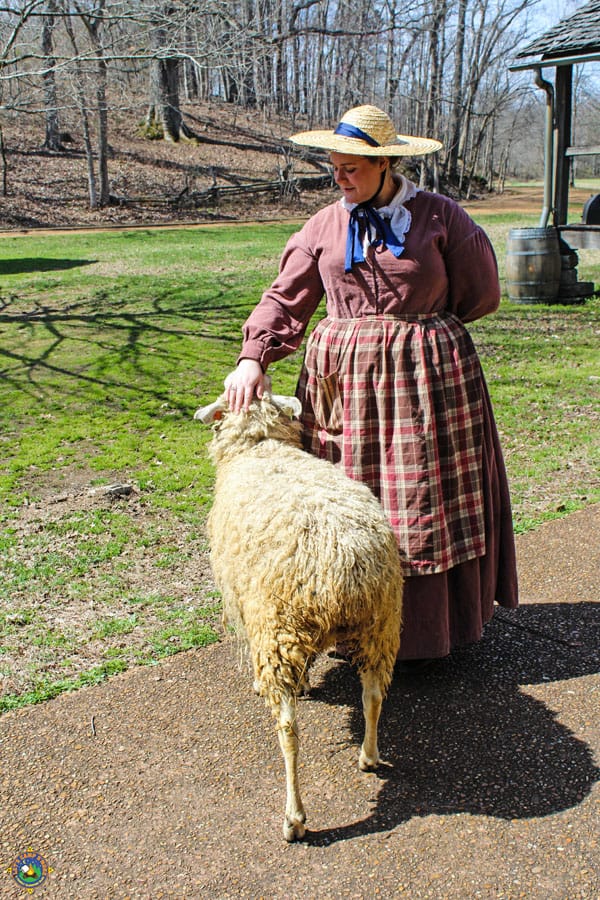 woman dressed in old fashioned clothes with a sheep