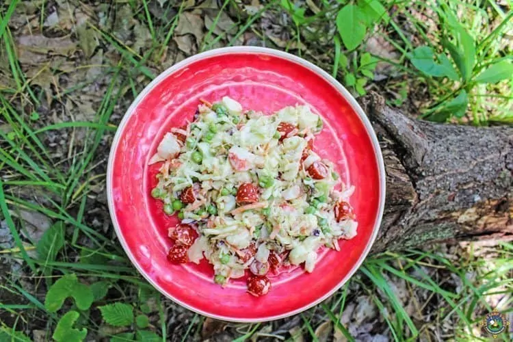 Keto Crab Salad Recipe