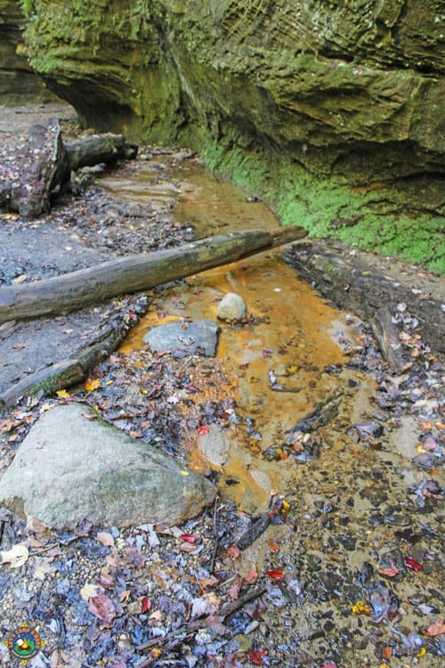 colorful creek in the fall