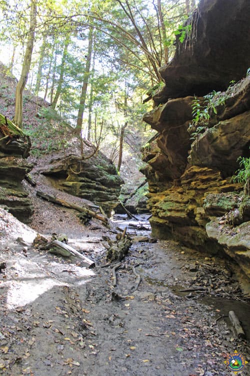 Trail 3 at Turkey Run