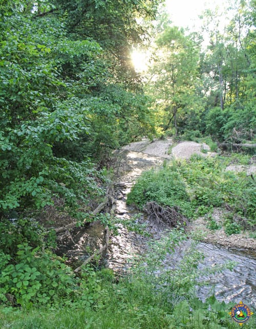 Deer Creek in Decorah Iowa