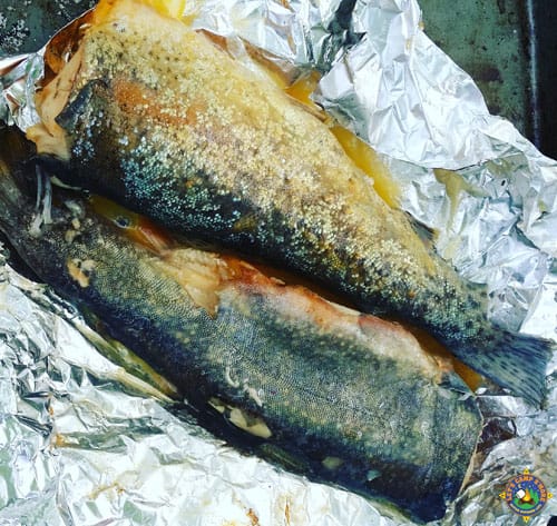 grilled trout