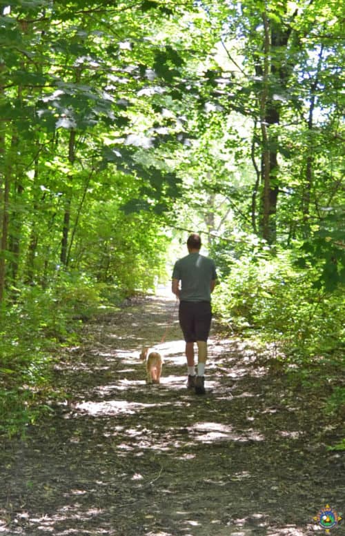 man walking a dog in the woods