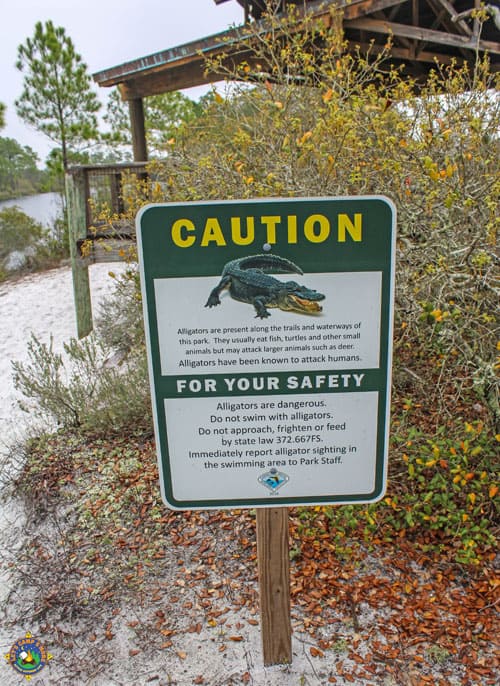 beware of alligator sign