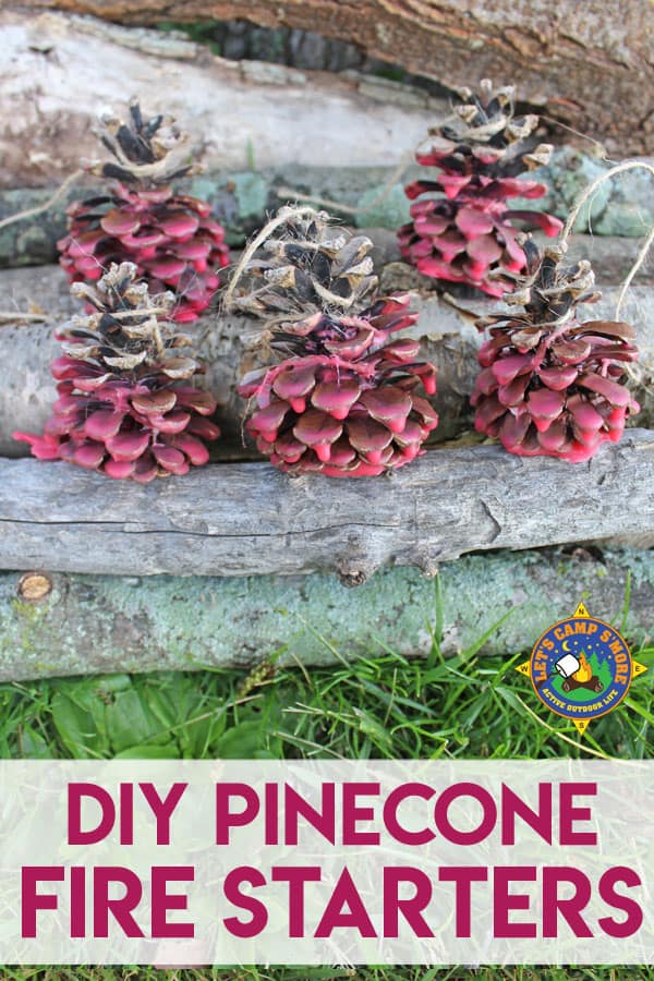 DIY Pinecone Fire Starters placed by logs for a campfire