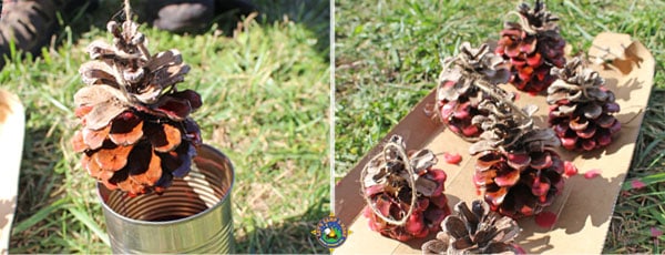 pine cones being dipped in melted candle wax and placed out to dry