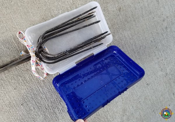 roasting forks inside of a pencil box case