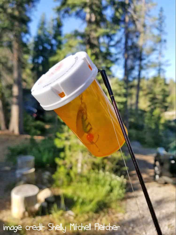 fishing hook in a medicine bottle