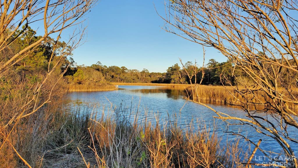 View of the Bayou