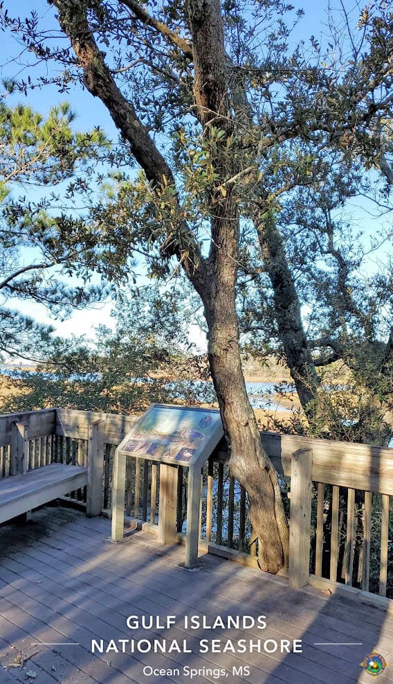 wooden patio overlooking the bayou behind the Davis Bayou Visitor Center