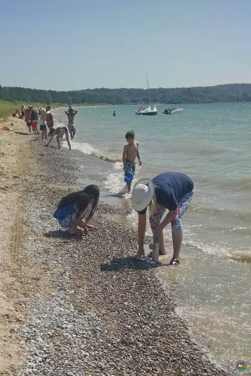 people looking for Petoskey stones at the beach at Petoskey State Park