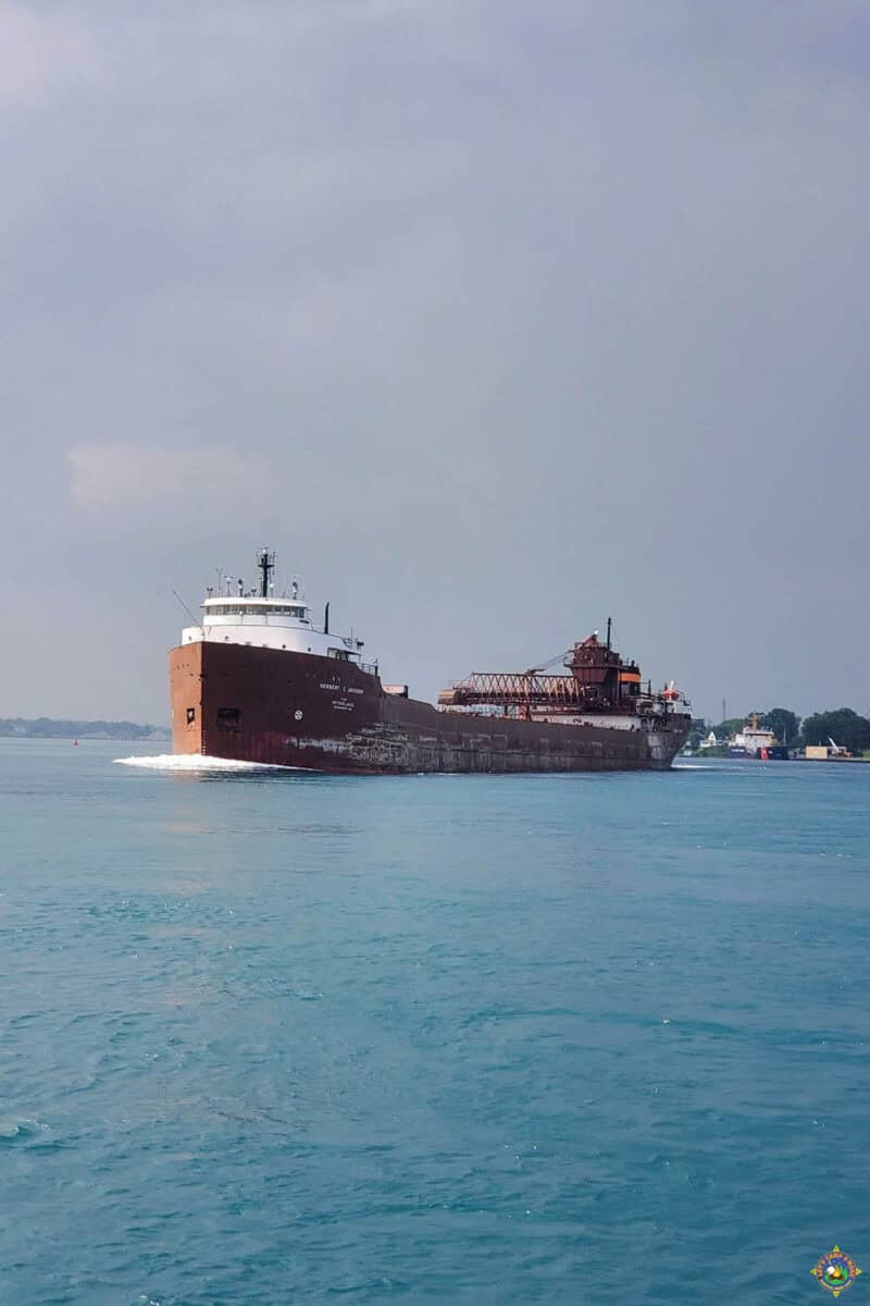 Great Lakes Freighter on the St Clair River