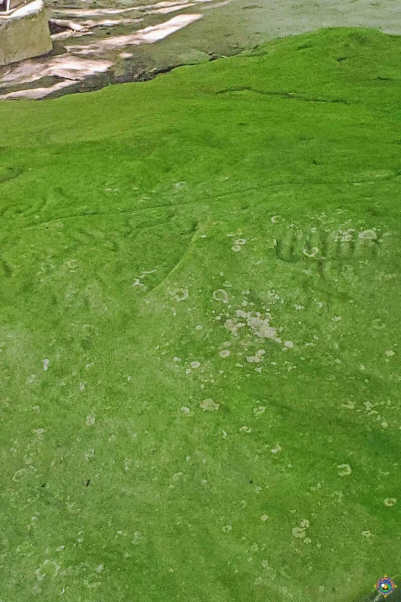 close up of native images at Sanilac Petroglyphs State Park