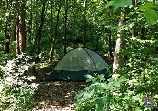 a tent in the woods