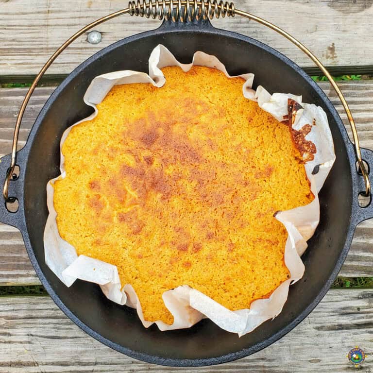 cake in a dutch oven on a picnic table