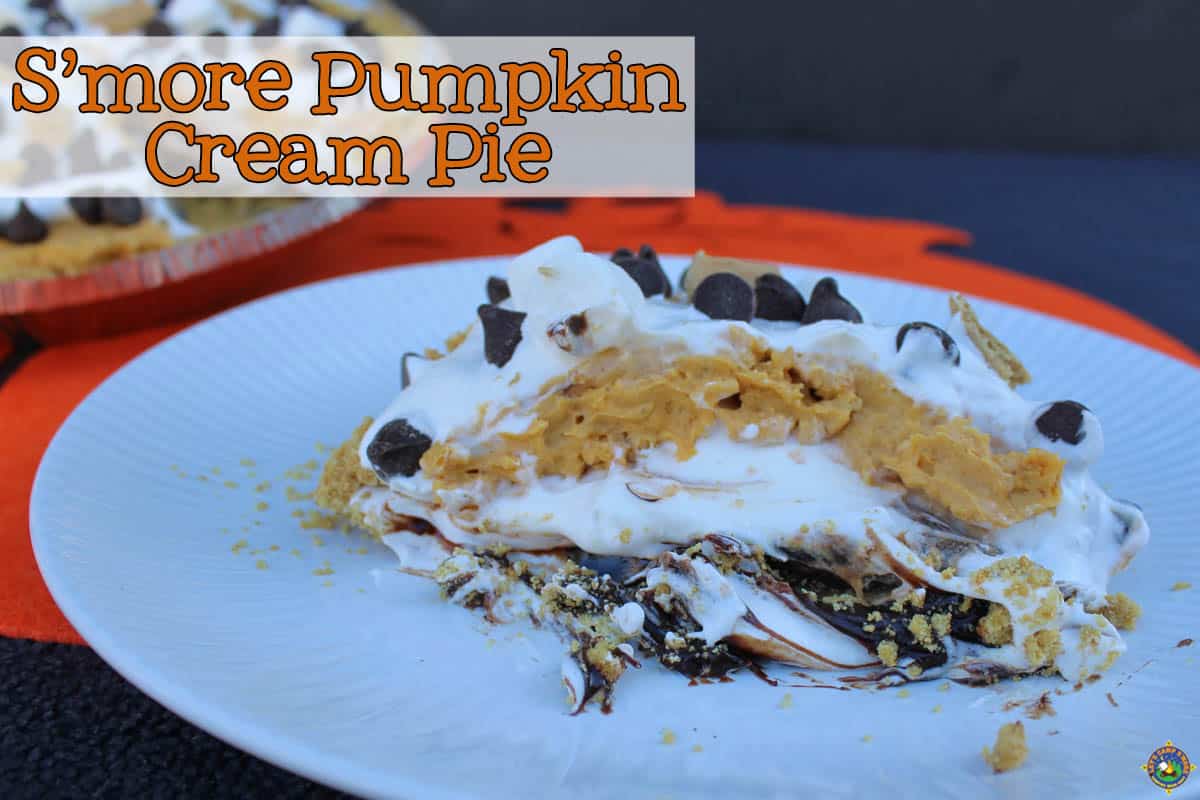 Slice of Chocolate Pumpkin Cream Pie